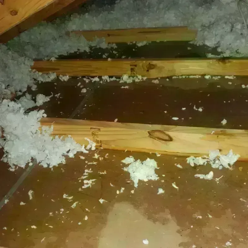 Attic Water Damage in Jackson County, TN