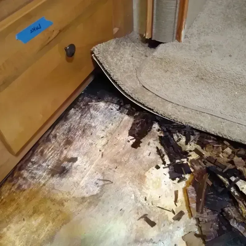 Wood Floor Water Damage in Jackson County, TN